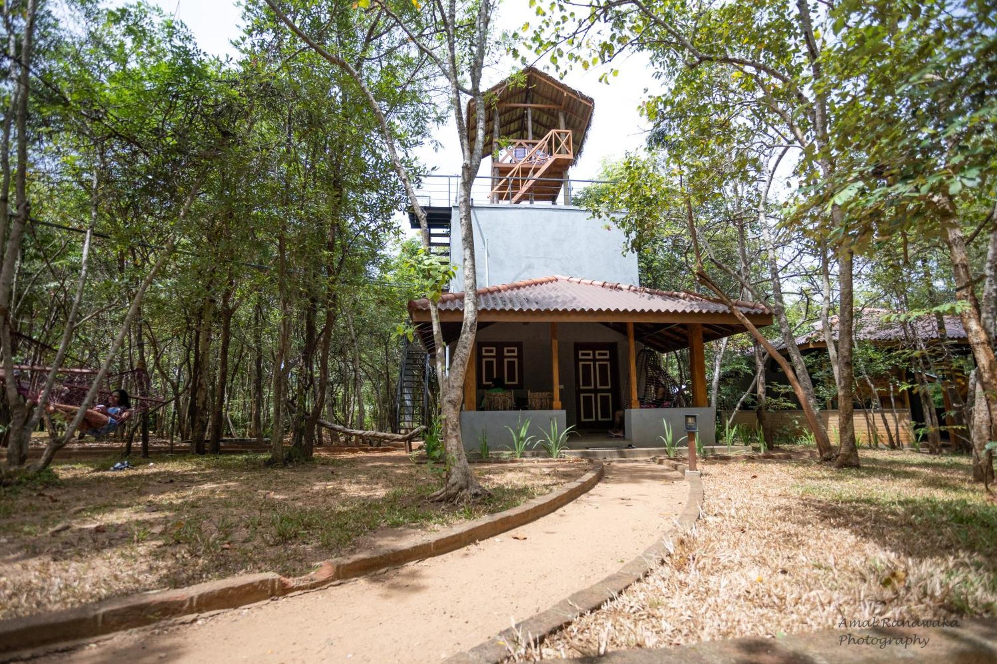 Tree Trails Guest house *