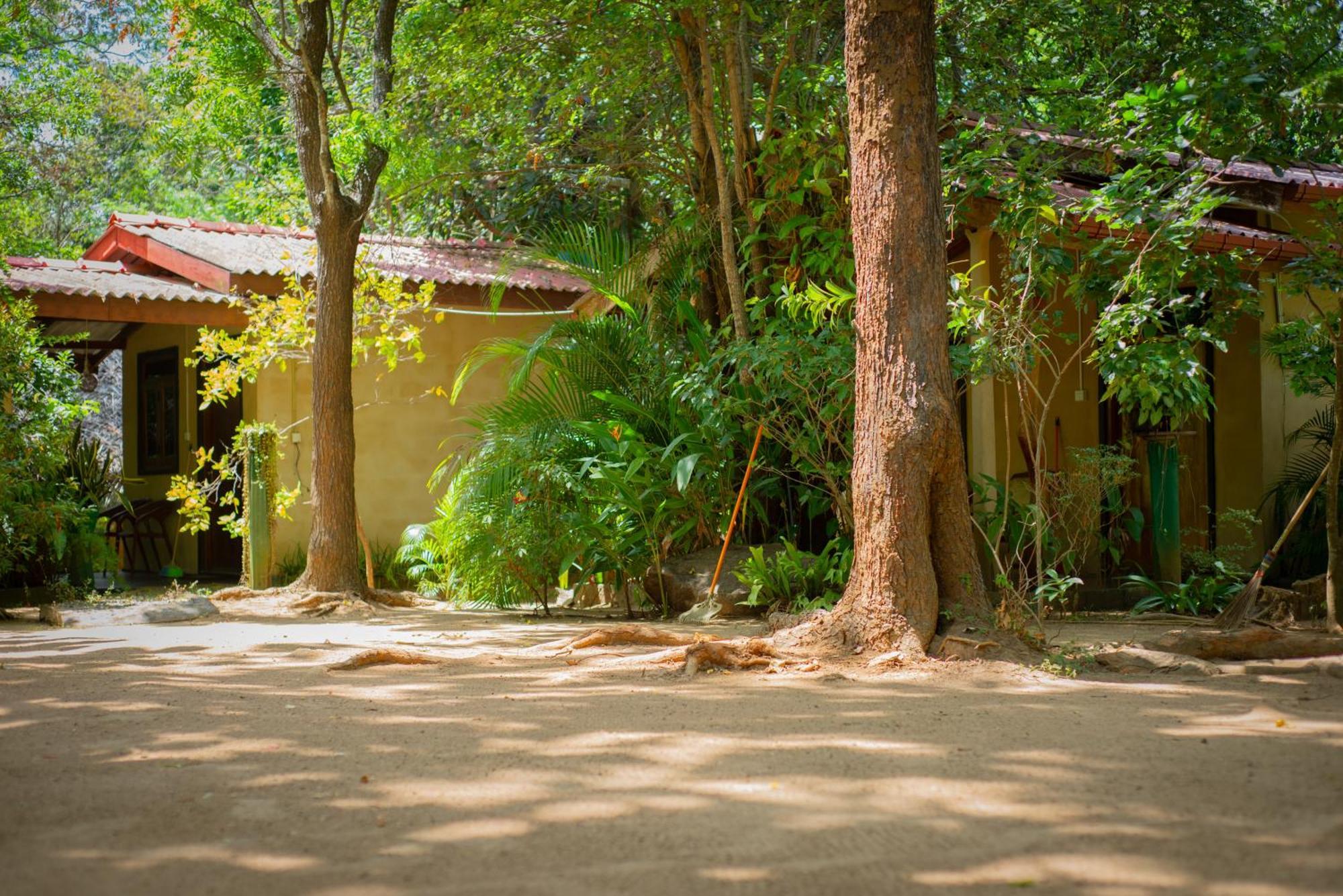 Sigiri Serenity Apartment *