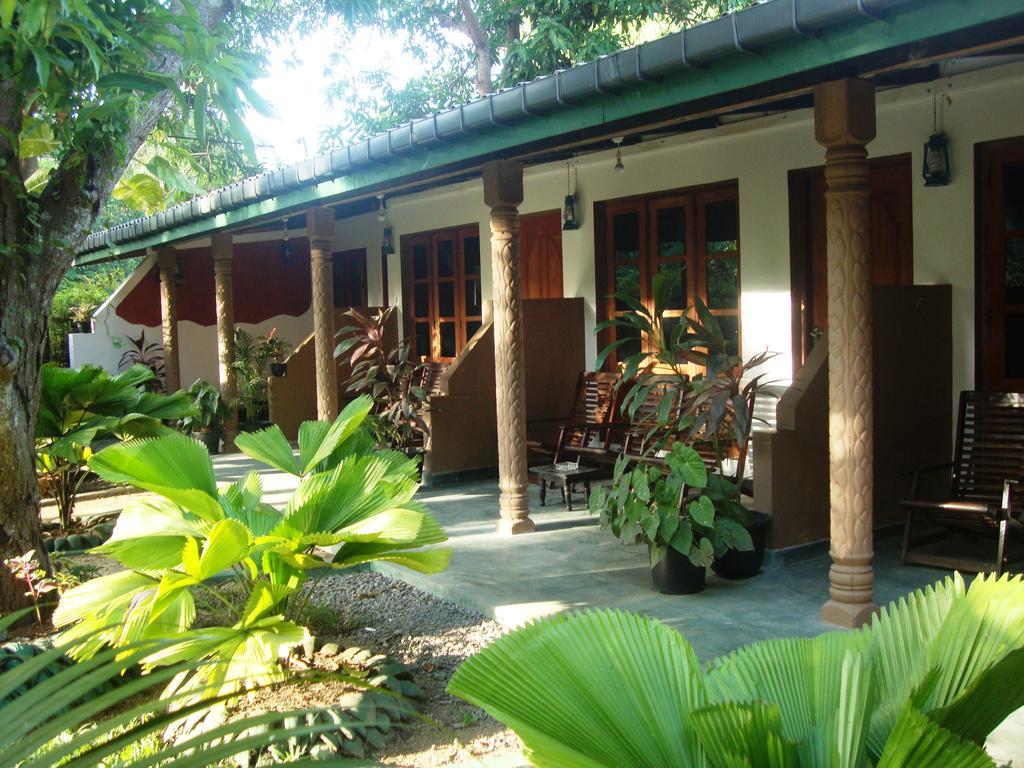 The Nature Park