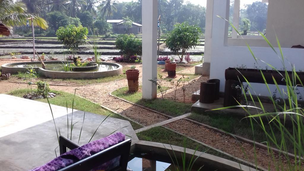 Guest house Nelu