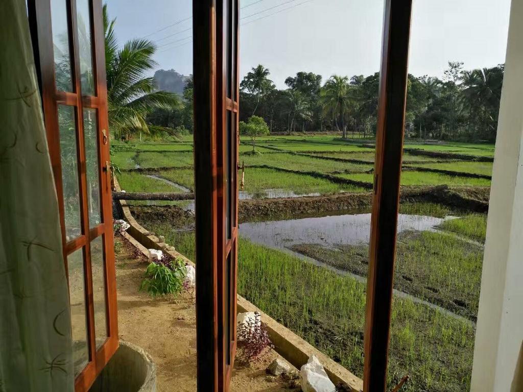 Guest house Nelu