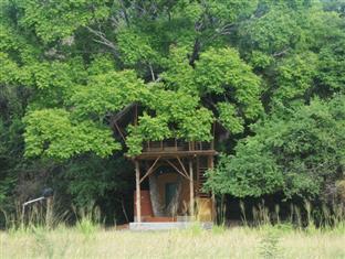 Lodge Back Of Beyond - Wild Haven