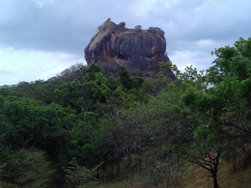 Liyara Sigiriya