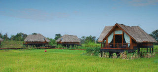 Jetwing Vil Uyana Hotel 5*