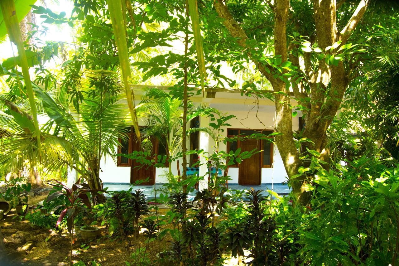 Homestay Amba Sewana Sigiriya