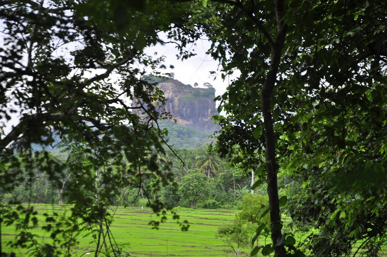Rock Homestay *