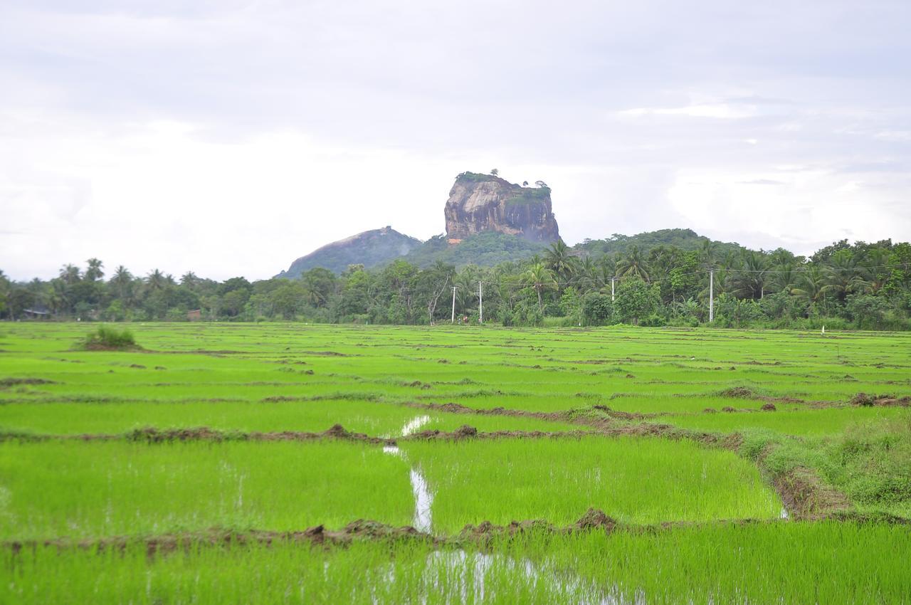 Rock Sigiriya