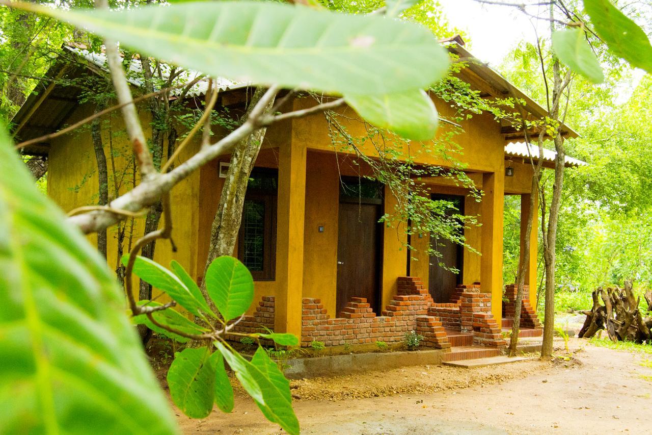 Lodge Ali Adi Eco *