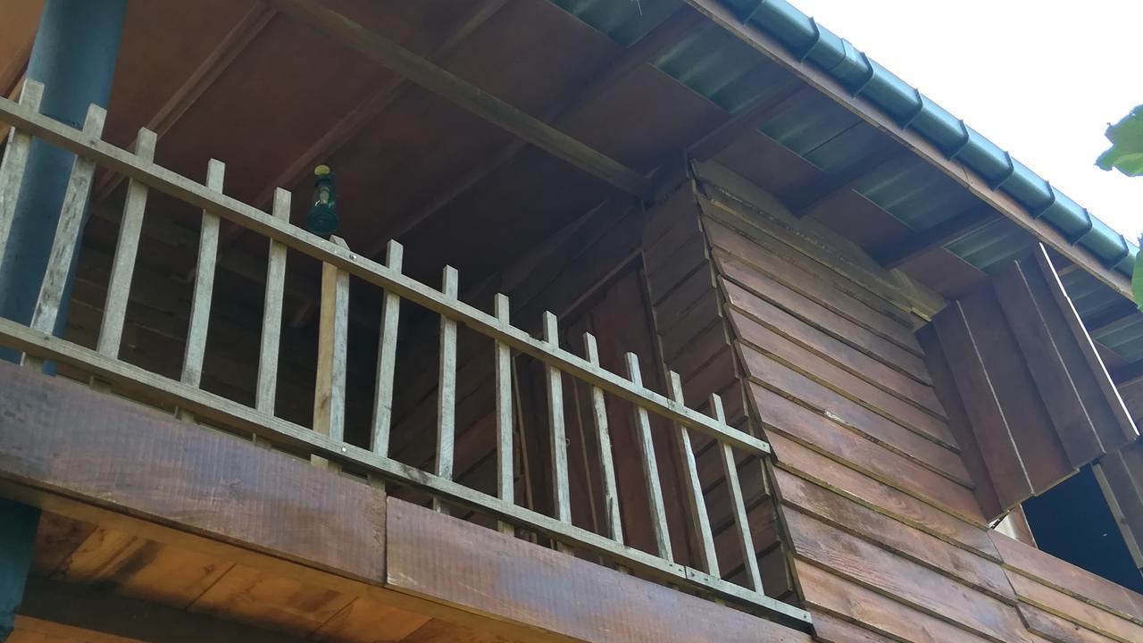 Sigiri Sarilco Rock View Treehouse * Sigiriya