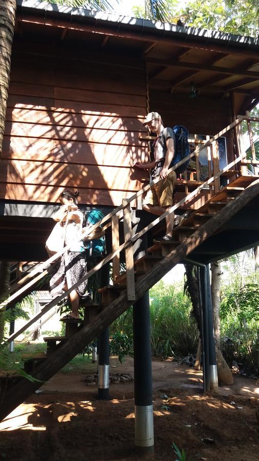 Lodge Sigiri Sarilco Rock View Treehouse Sigiriya