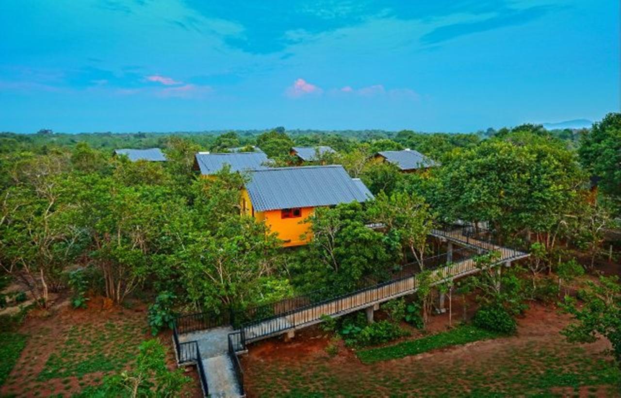 Wild Air Sigiriya