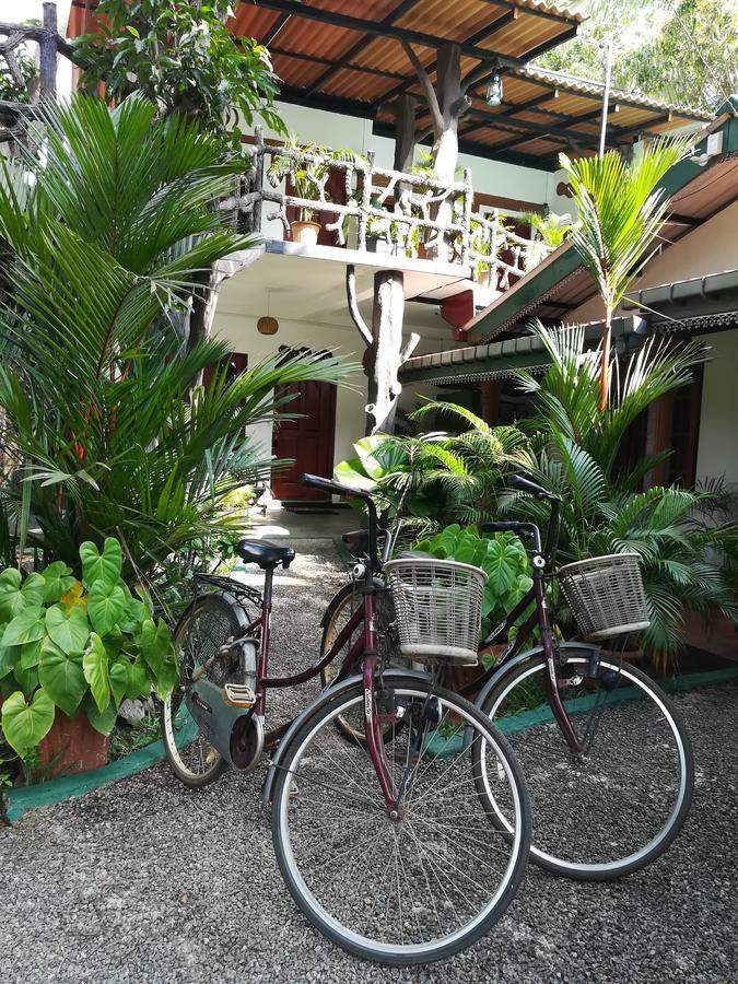 Resort The Nature Park