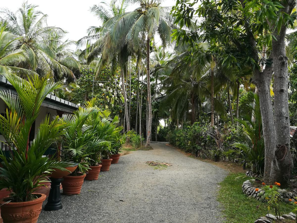 The Nature Park 3*