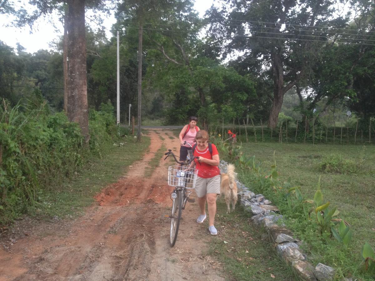 Homestay Asiri *
