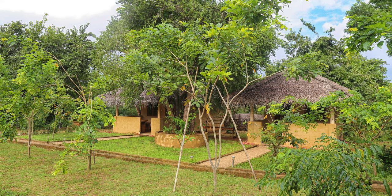 Niyagala Lodge Sigiriya