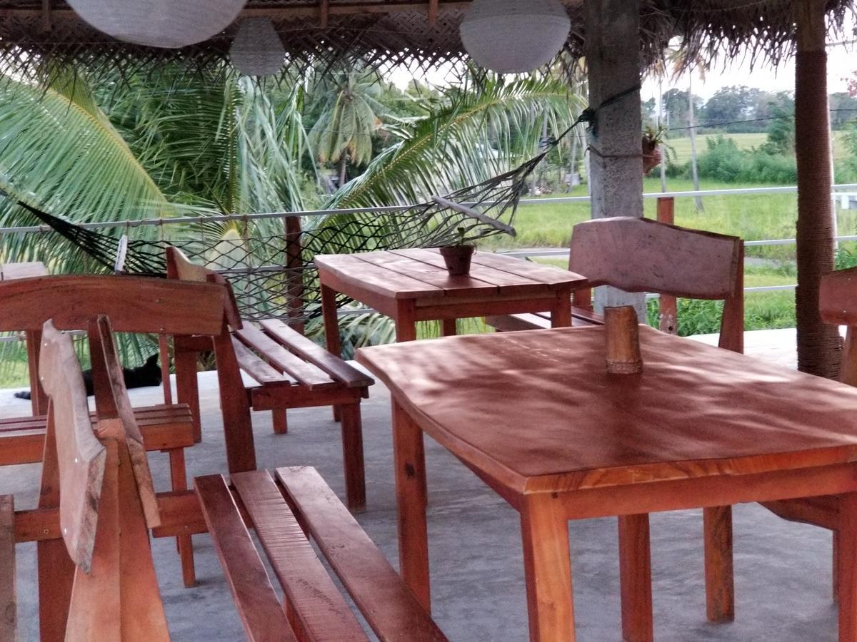 Guest house Nelu