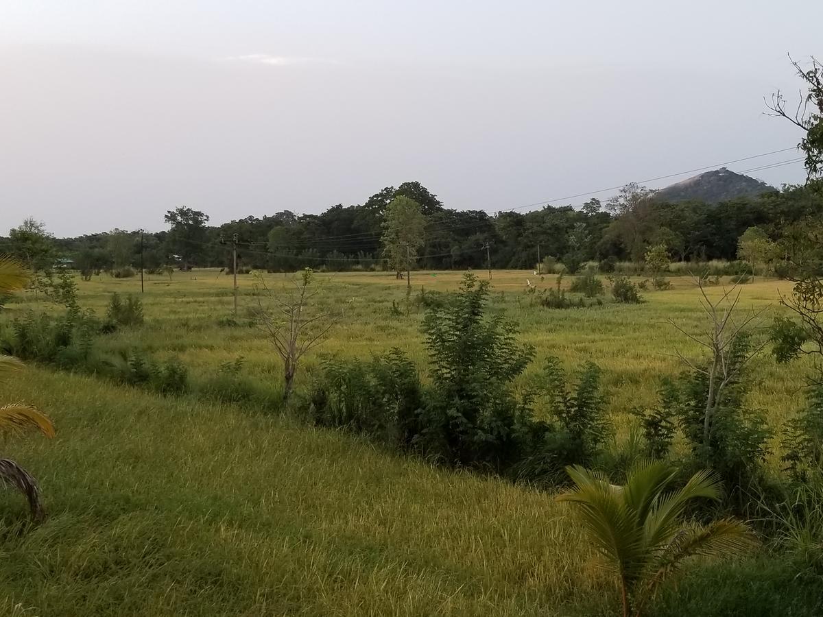 Nelu Guest house