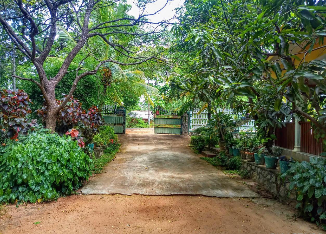 Guest house Sigiri Regal Sigiriya