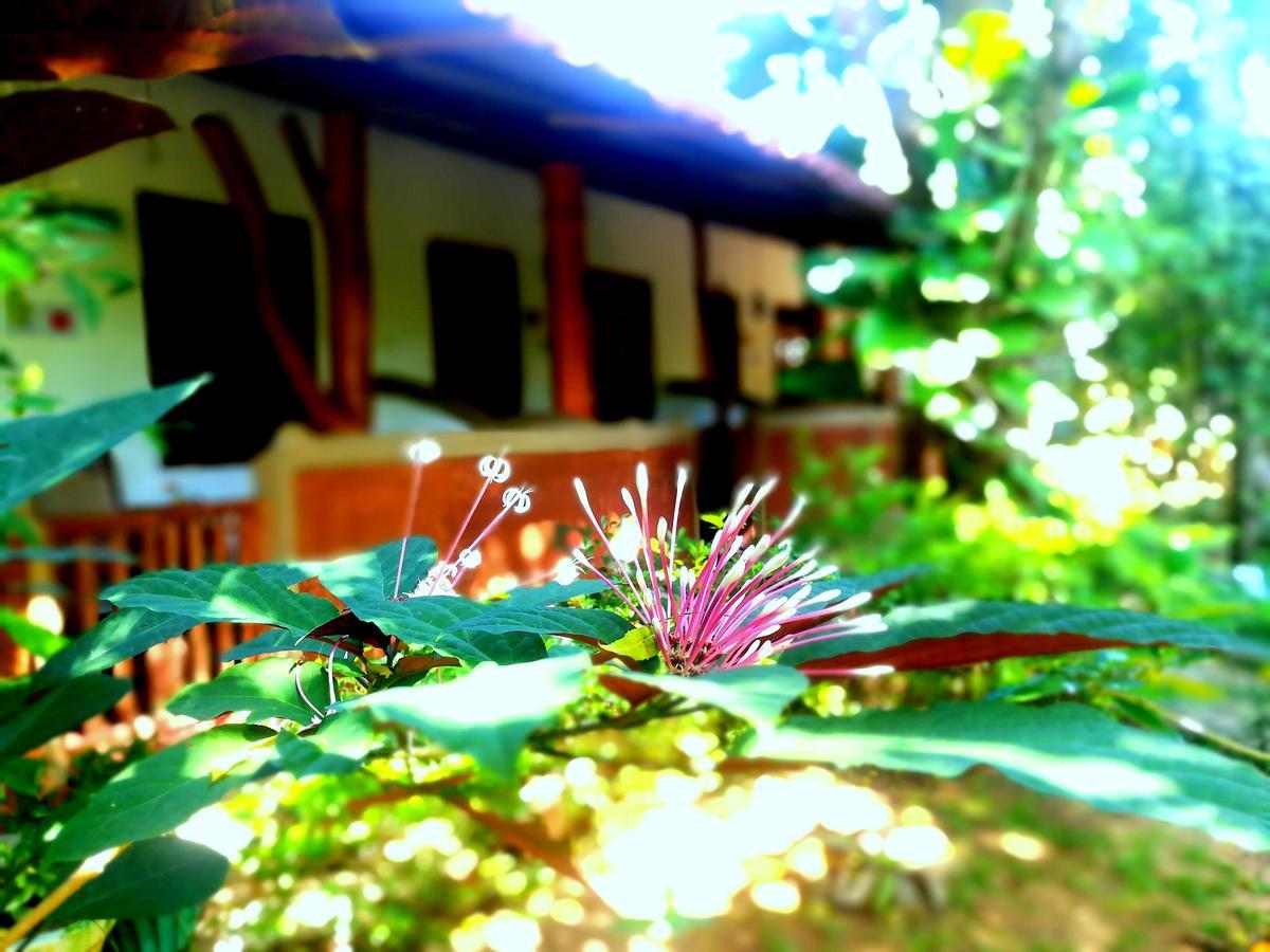 Sisira - Homestay Sigiriya