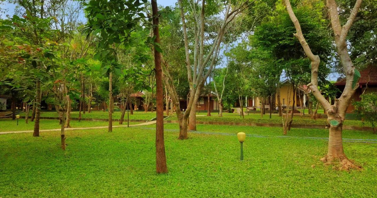 Hotel Saunter Paradise