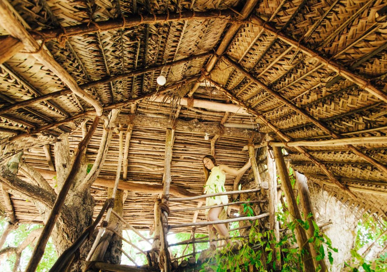 Back Of Beyond - Wild Haven Lodge *