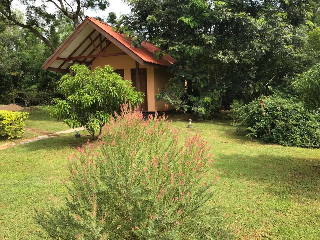 Guest house Liyon Rest Sigiriya