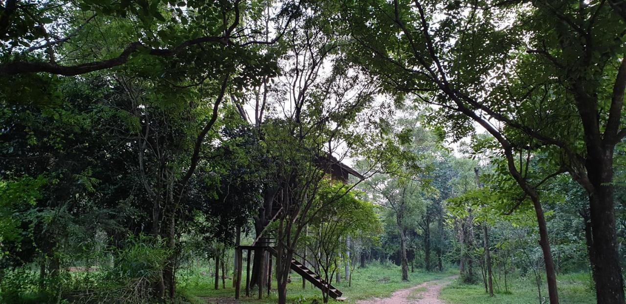 Eighth Wonder Hotel Sigiriya
