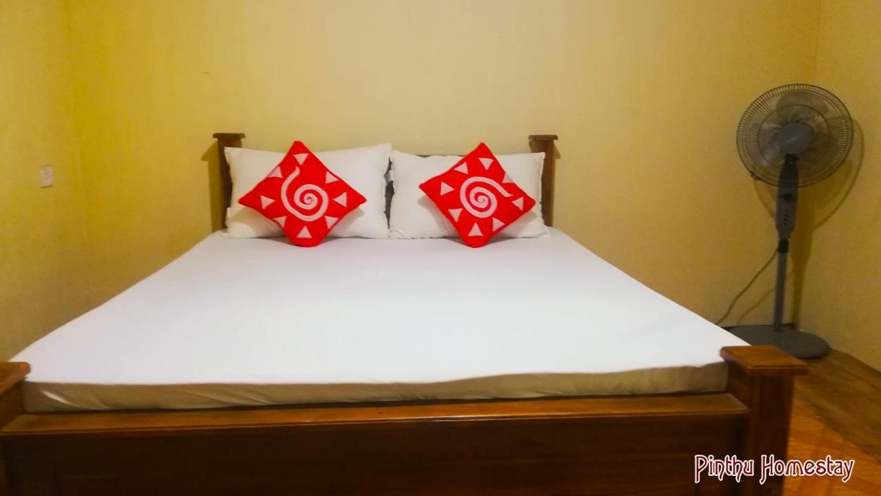 Pinthu Homestay