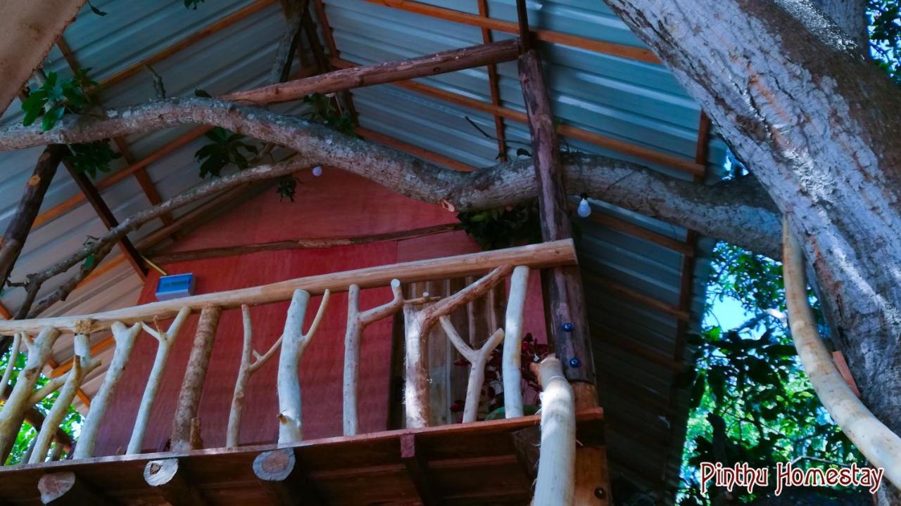Pinthu Homestay Sigiriya