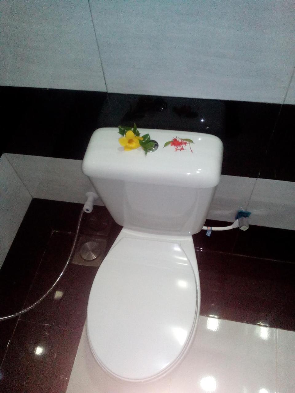Homestay Aloe *