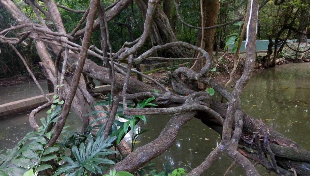 The Elephant Hide By The Saffron Resort Sigiriya