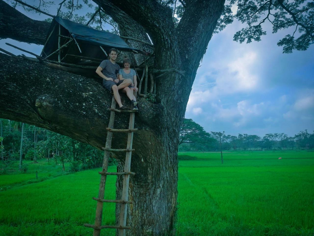 Homestay Lahiru Sigiriya