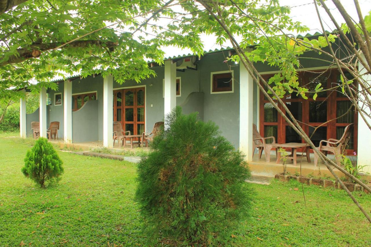 Hut Nature