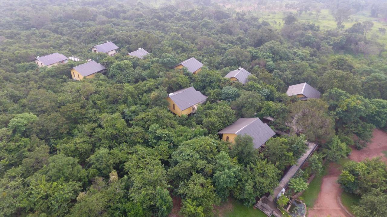 Wild Air 4*