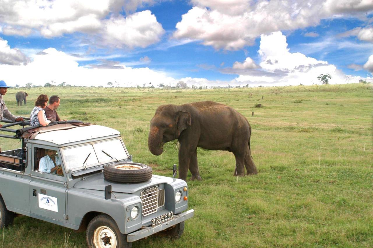 Resort The Elephant Hide By The Saffron