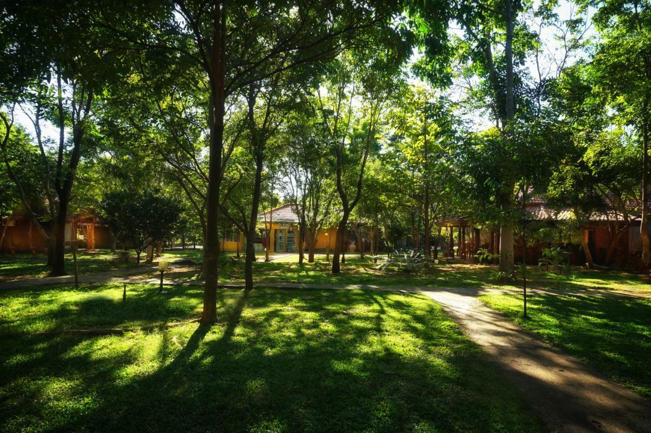 Hotel Saunter Paradise Sigiriya