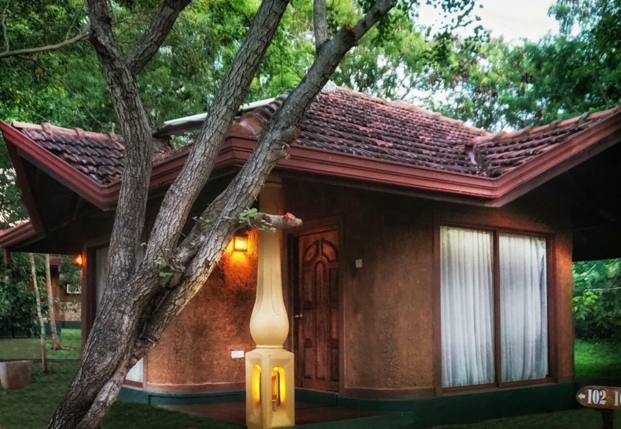 Saunter Paradise Hotel Sigiriya