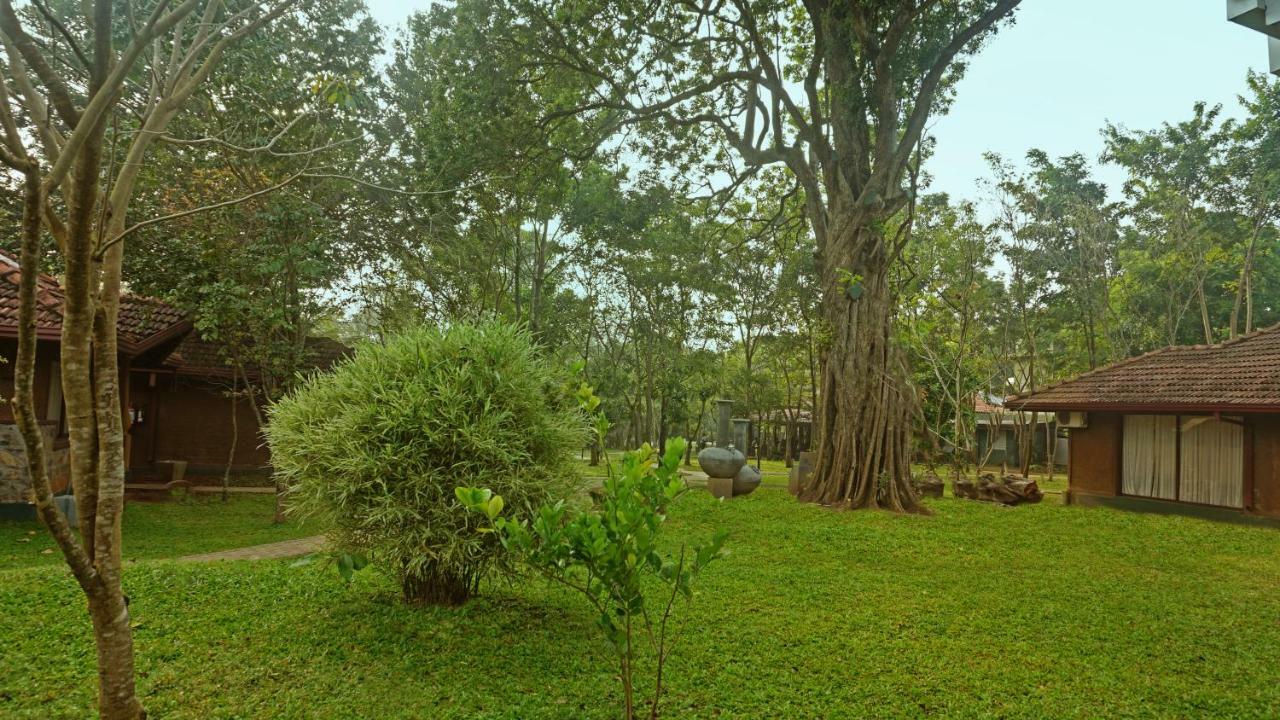 Saunter Paradise 4* Sigiriya