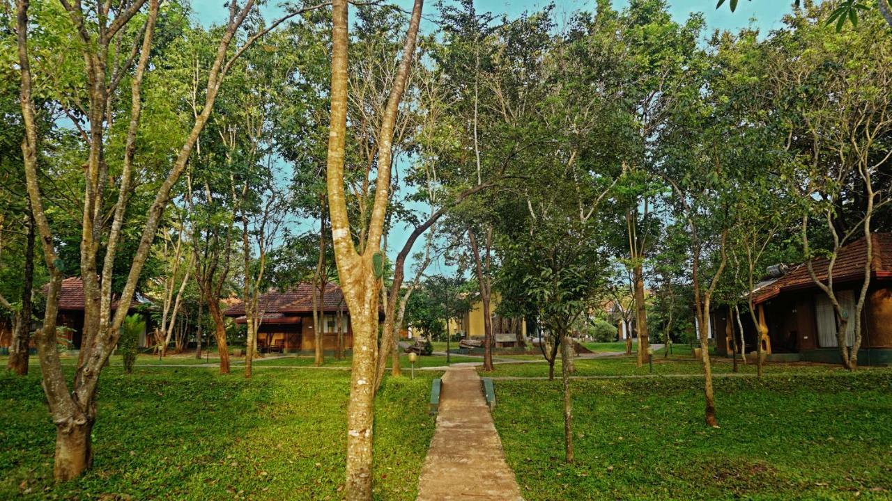 Saunter Paradise Hotel
