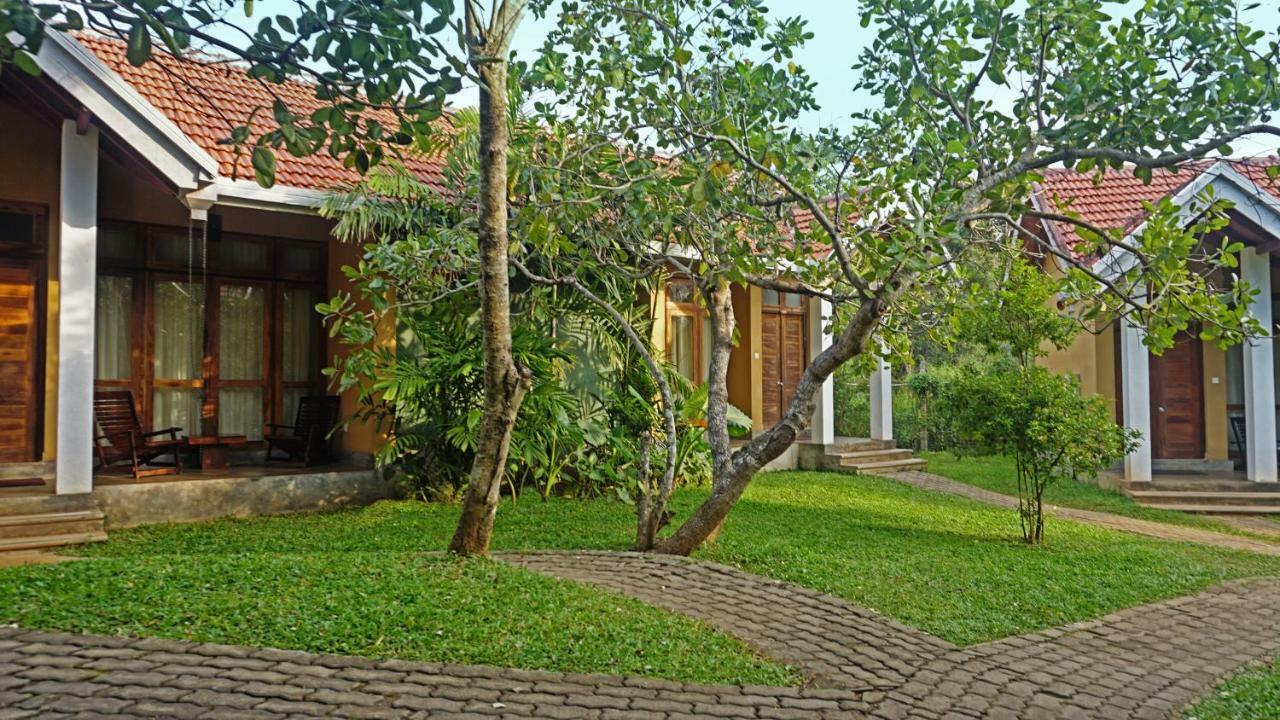Saunter Paradise Hotel