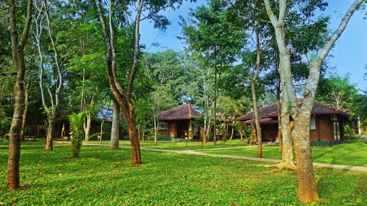 Saunter Paradise Hotel Sigiriya