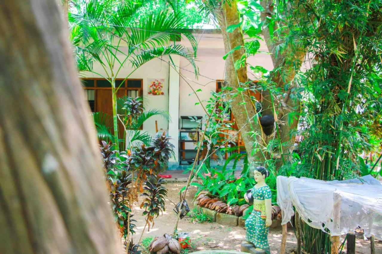 Homestay Amba Sewana *