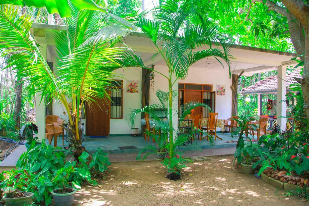 Amba Sewana * Sigiriya
