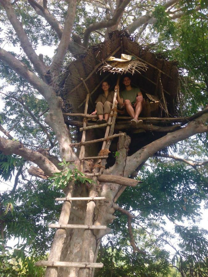 Amba Sewana Homestay