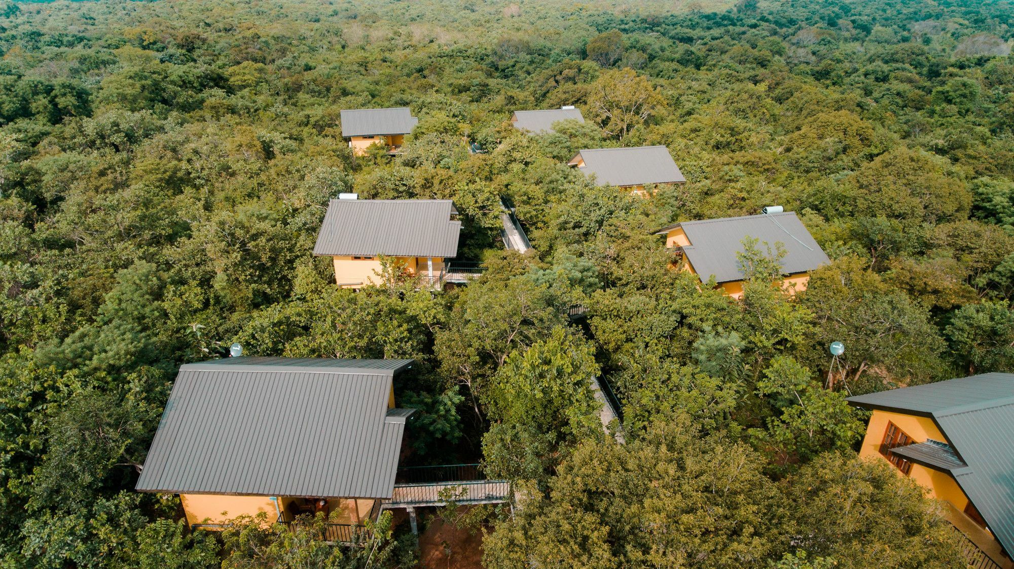 Wild Air Hotel Sigiriya