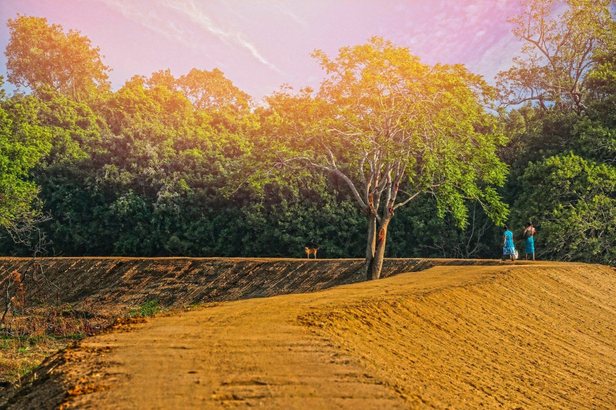 Wild Air Hotel Sigiriya