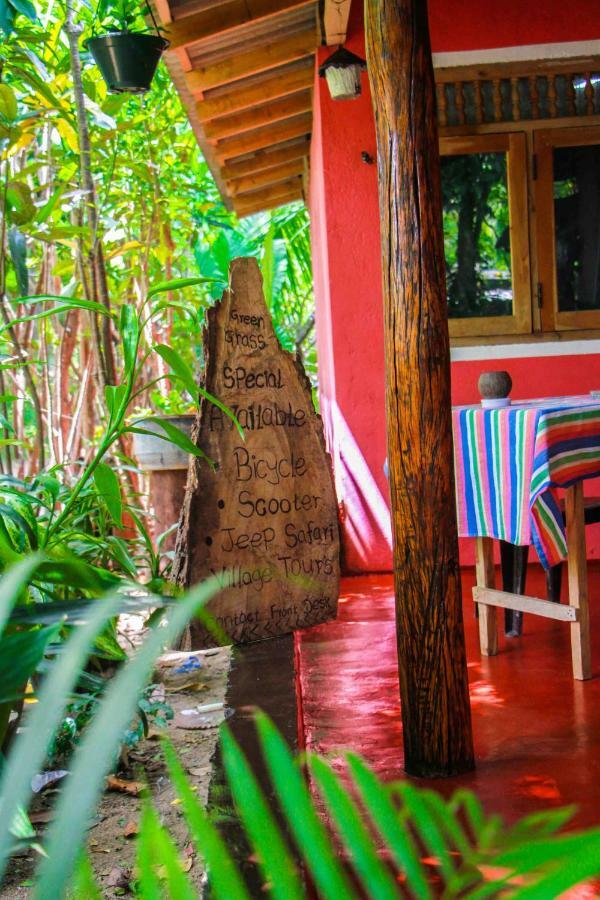 Grass Homestay *