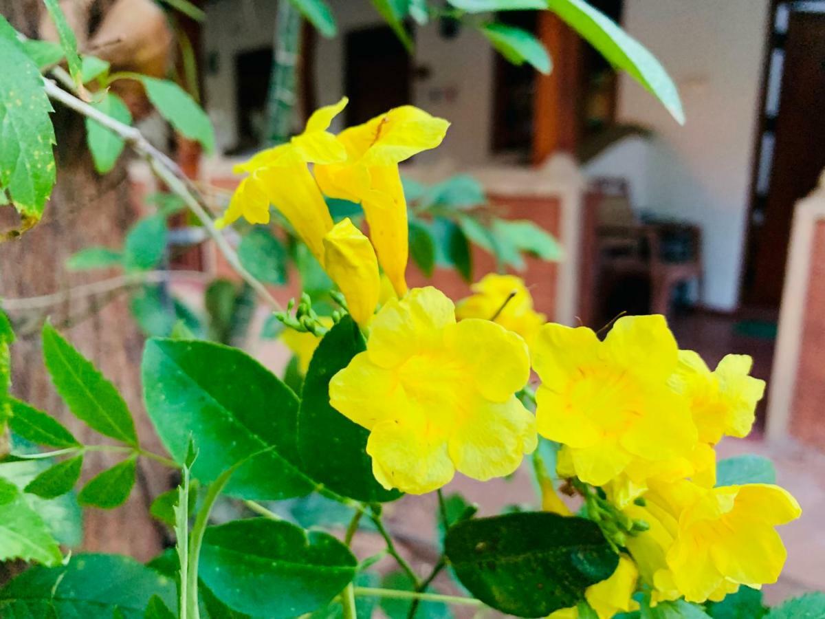 Homestay Sisira - Sigiriya