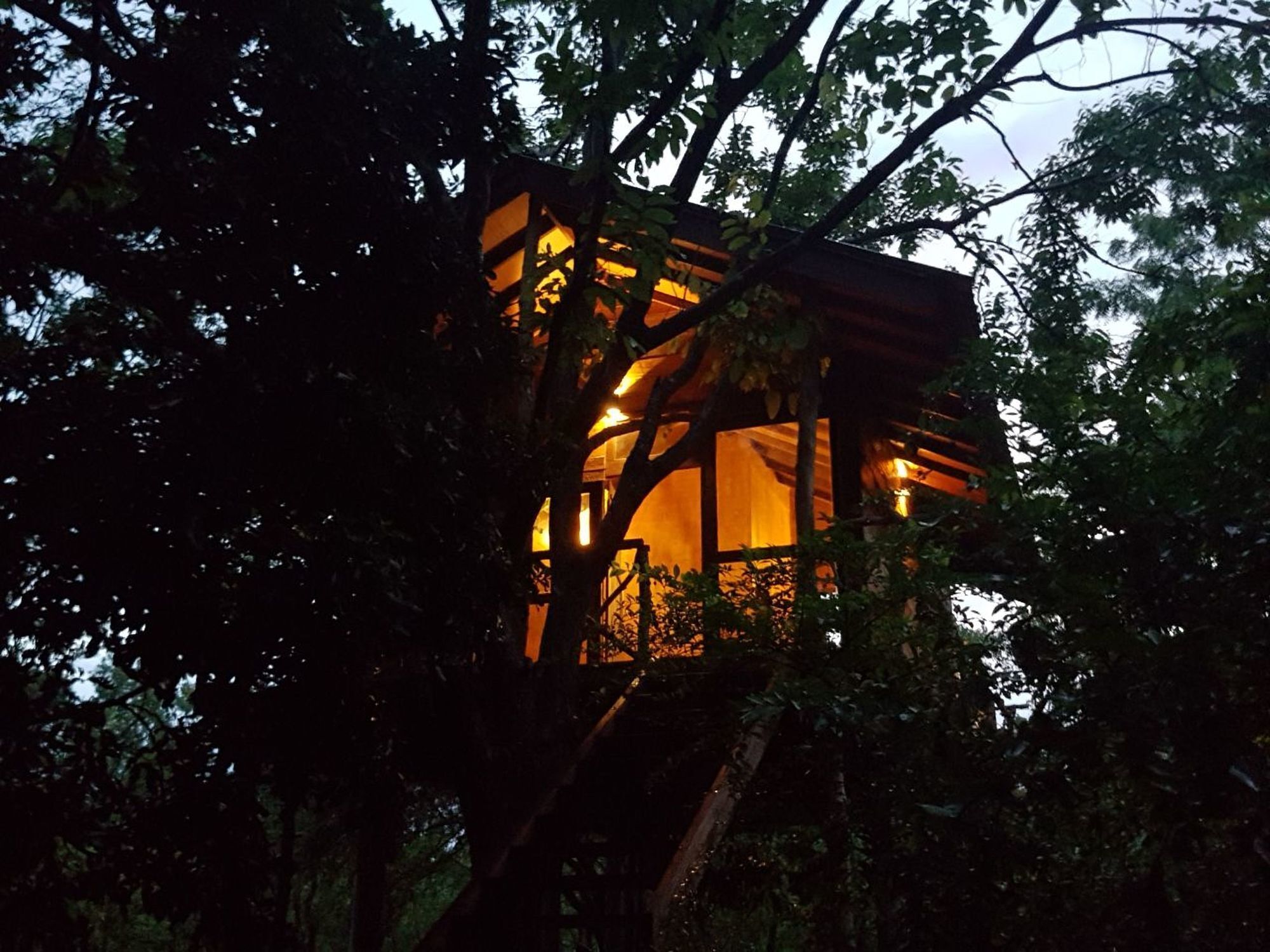 Eighth Wonder 4* Sigiriya