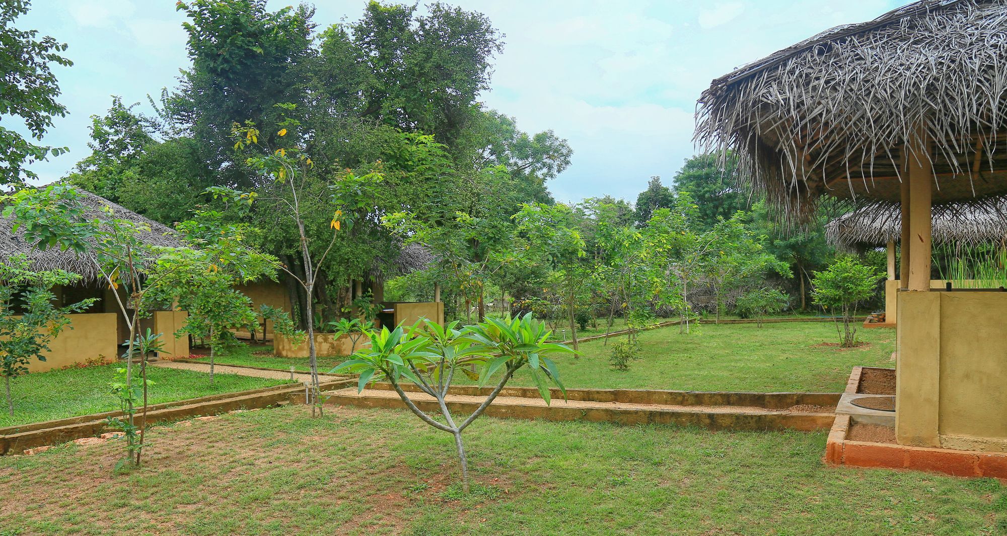 Niyagala Sigiriya
